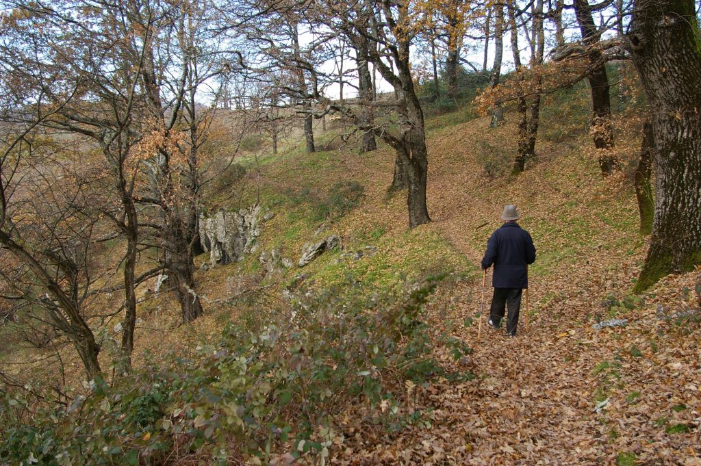 2012: Monte Tuscolo (RM) (foto C. Germani)